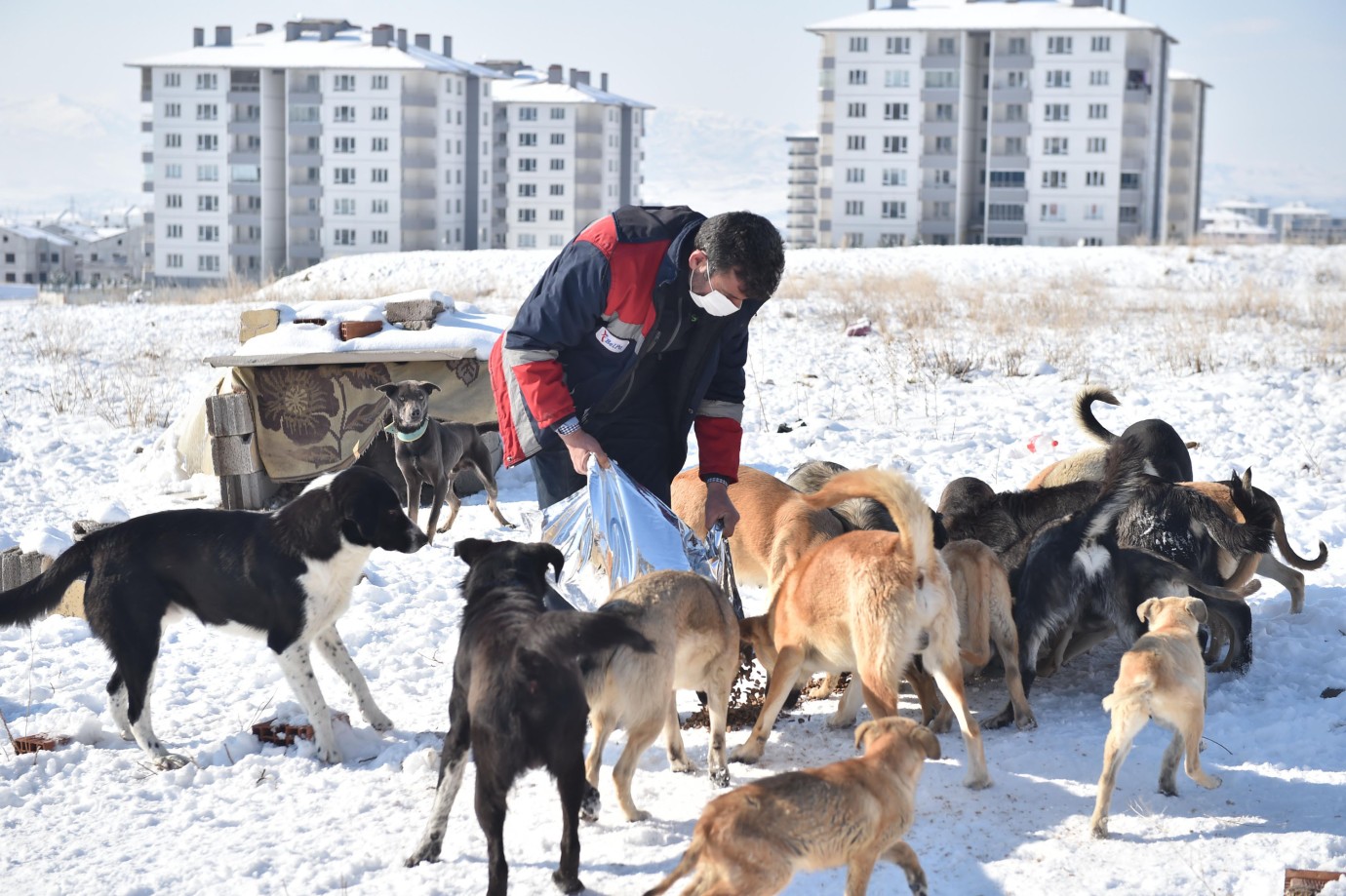 BAŞKENT’TE HAYVAN DOSTU BELEDİYECİLİK